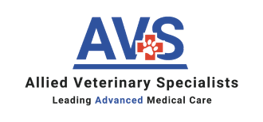 AVS Transparent Logo-1