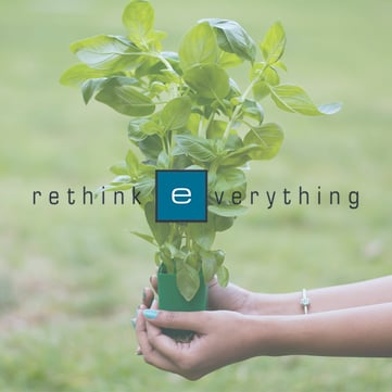 Insta_green plant_rethink