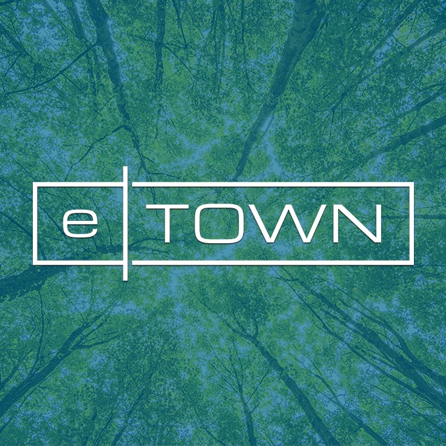 eTown blue on trees_insta size-2