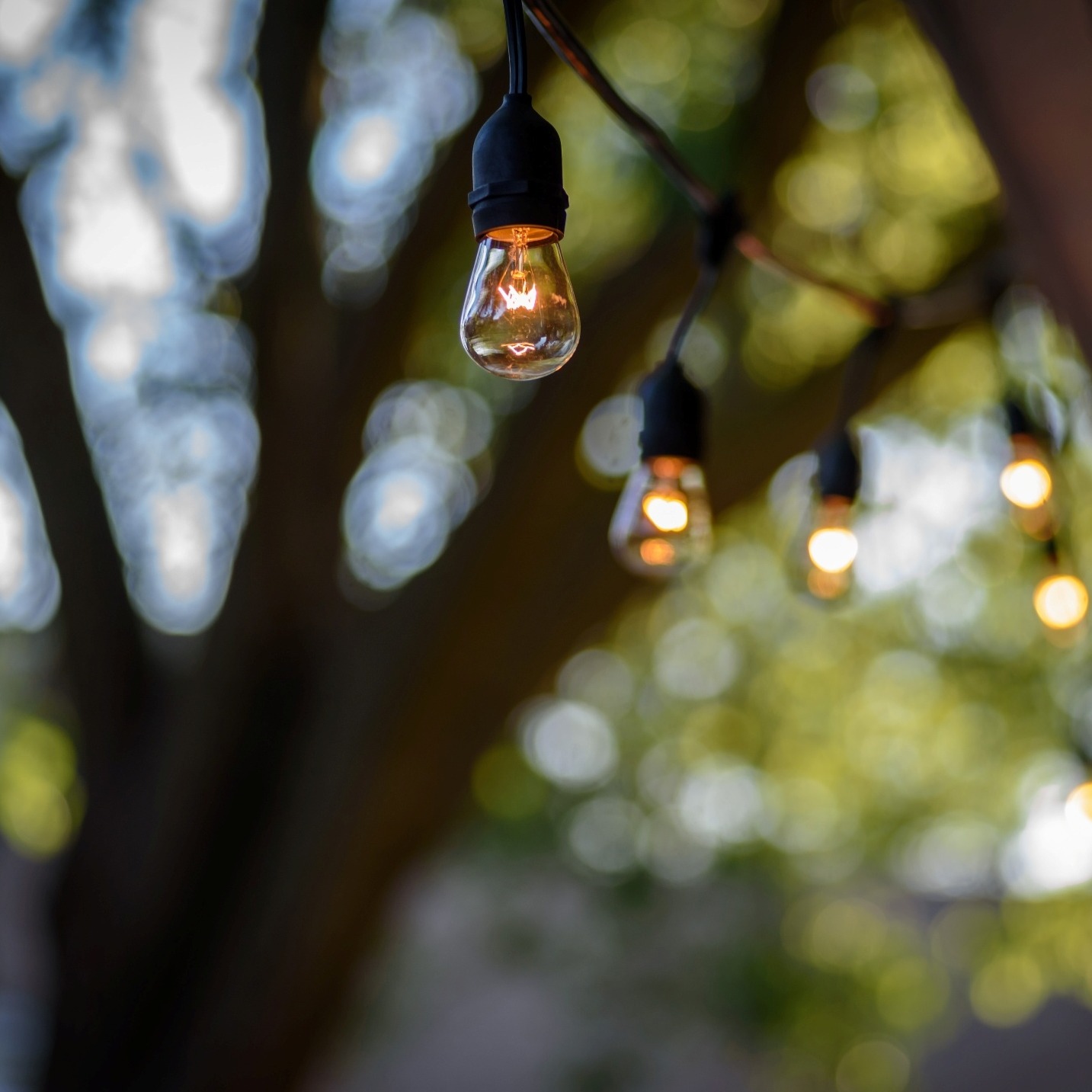 string-of-retro-style-clear-edison-light-bulbs-with-glowing-filaments-hanging-outside-at-dusk-with_t20_AenkOZ- smaller-1